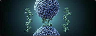 Breakthrough in mRNA Delivery: New Lipid Nanoparticle System Crosses the Blood-brain Barrier